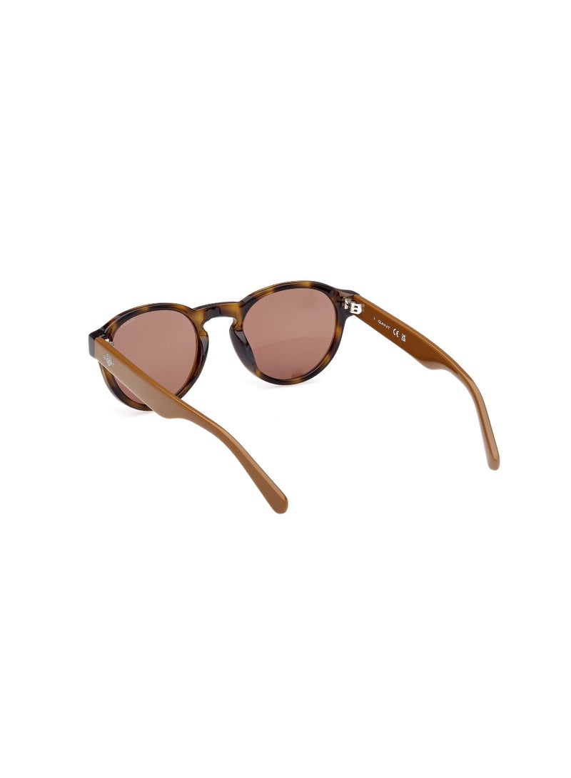 GANT FULL RIM MALE ROUND BROWN ACETATE SUNGLASSES - Image 3